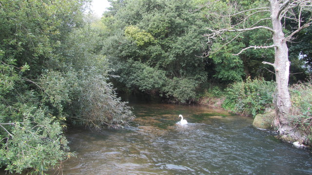 River Test from Nursling mill footpath