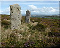 SW5037 : Standing stones on Trink Hill by David Medcalf