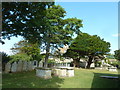 St Mary, Burton Bradstock: churchyard (iii)