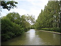 Grand Union Canal: Reach in Woughton on the Green