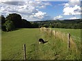 Summer walk to the pub.