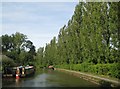 Grand Union Canal: Reach in Simpson