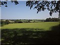 Grass field near West Yeo