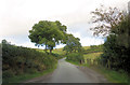 Un-named lane southwest of Ty-uchaf