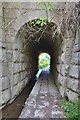 Pedestrian tunnel below the Strathspey Railway line