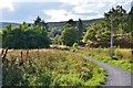 Footpath near Aviemore