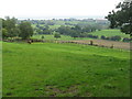 Farmland at Nedstop Farm