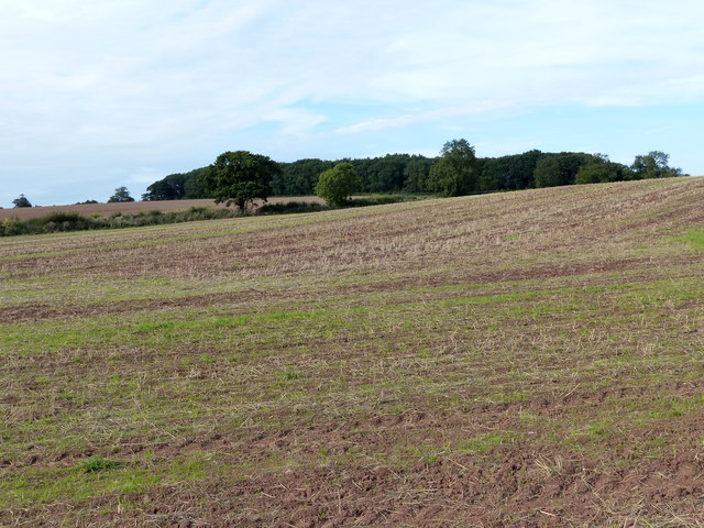 Farmland north of Long Whatton