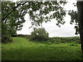 Rough grazing beside the West Mendip Way