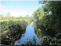 Mill Leat feeding into the water mill at Max Mills Farm