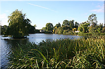 NT0774 : Glendevon Pond by Anne Burgess