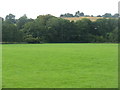 Pasture at Blakeney