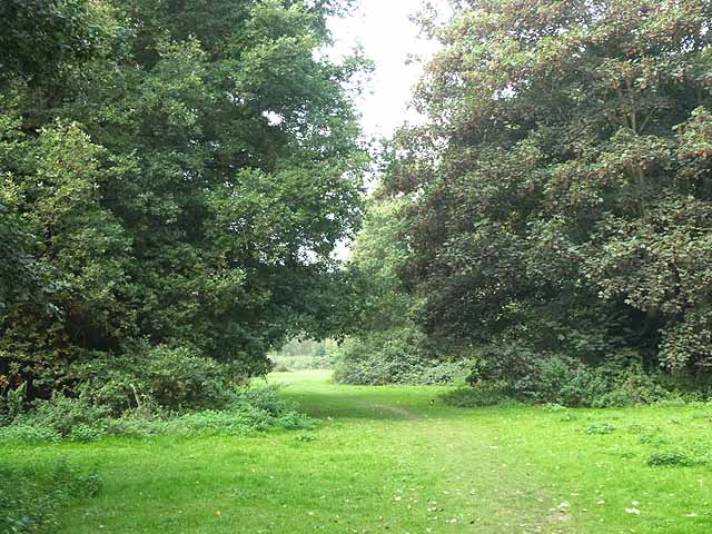 Millennium Trail through the Riverside Garden Park