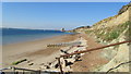 View from Brambles Chine towards Linstone Chine at  Low tide