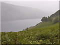 NY4712 : Haweswater hillside north of Whiteacre Crag by Nigel Brown