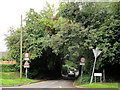 Hilltop Lane, Chaldon