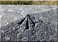 Rivet Bench Mark Easter Tofts Railway Bridge