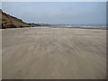 TA1278 : Wind-whipped beach by Pauline E