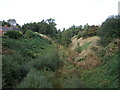 Disused railway cutting