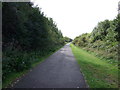 Cycle track on disused railway