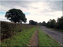 SK2143 : The A52 Road near Ashbourne by Jonathan Clitheroe