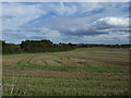 Farmland east of Barracks Lane 