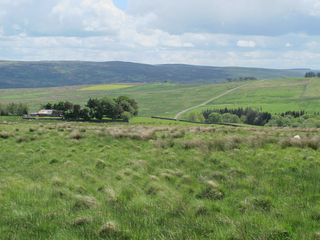 Moorland northwest of Craig
