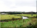 The flood plain of the meandering River Bush