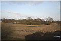 Wooded pond south of Crewe