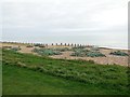 Beach at Kingston Gorse