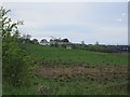 Wet pasture near Dunlop