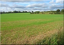 SU5854 : Big field (78.5 acres) & reservoir by Mr Ignavy