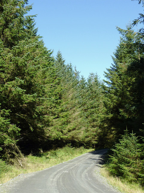 Forestry road in Coed Nant-yr-hwch, Powys