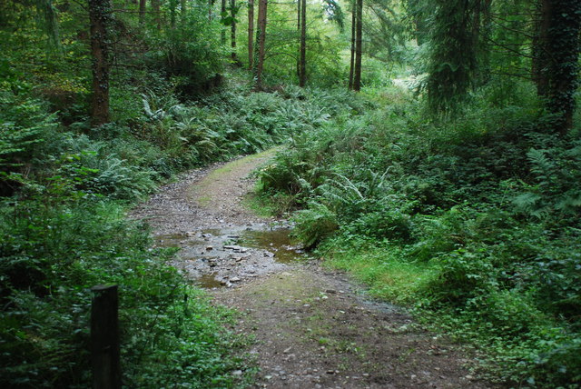 Ford on Footpath at Luckett