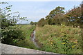 Middle Pool Stream from Toll House Bridge, Preston New Road, Freckleton