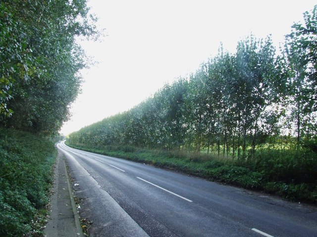Whitstable Road, near Goodnestone
