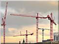 SJ8397 : Cranes Over the Manchester Skyline by David Dixon