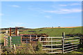 Livestock Pen south of Commonhead