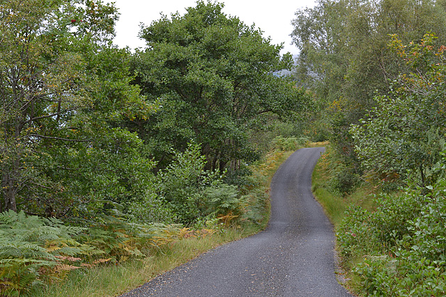 The Loch Arkaig road