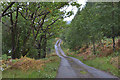 NN0492 : Road through trees by Nigel Brown