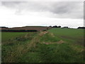 Byway towards Ringstone Hill