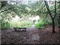 Footbridge and seat west of Tom Bank Wood