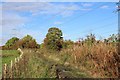 Dismantled Railway east of Hurlford