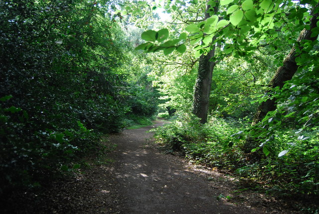 LOOP, Chislehurst Common © N Chadwick cc-by-sa/2.0 :: Geograph Britain ...