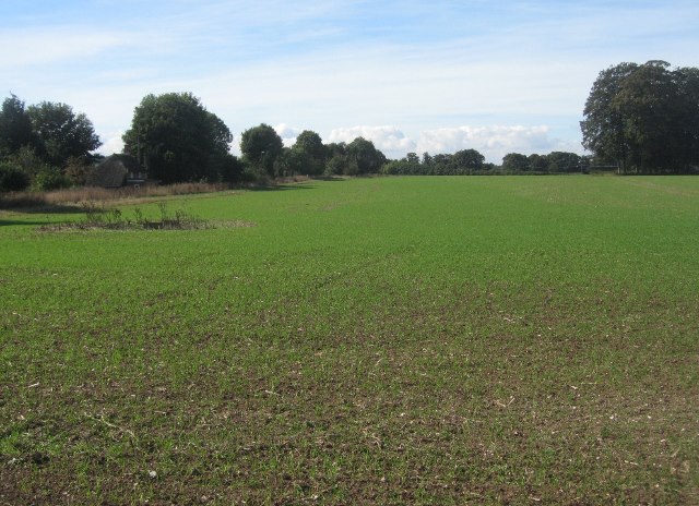 South field (18.5 acres)