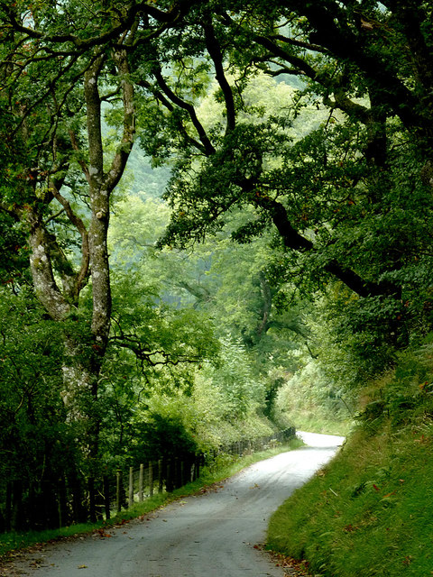 The lane to Abergwesyn, near Beulah, Powys