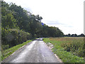 TM2792 : Low Road, Topcroft by Geographer