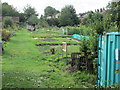 Allotments - Hovingham Avenue