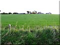 Drumlegagh Townland