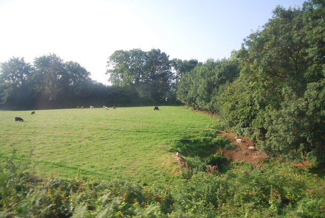 Pastoral land near Manorbier © N Chadwick :: Geograph Britain and Ireland